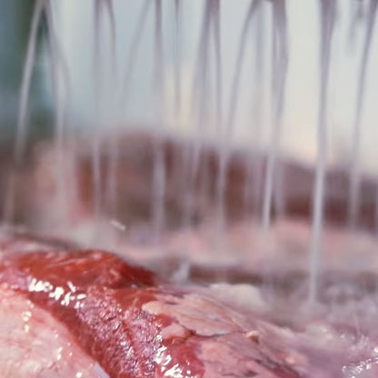 Smoked Barbecue Brisket Texas Style - Blue Ox - Black Angus Prime